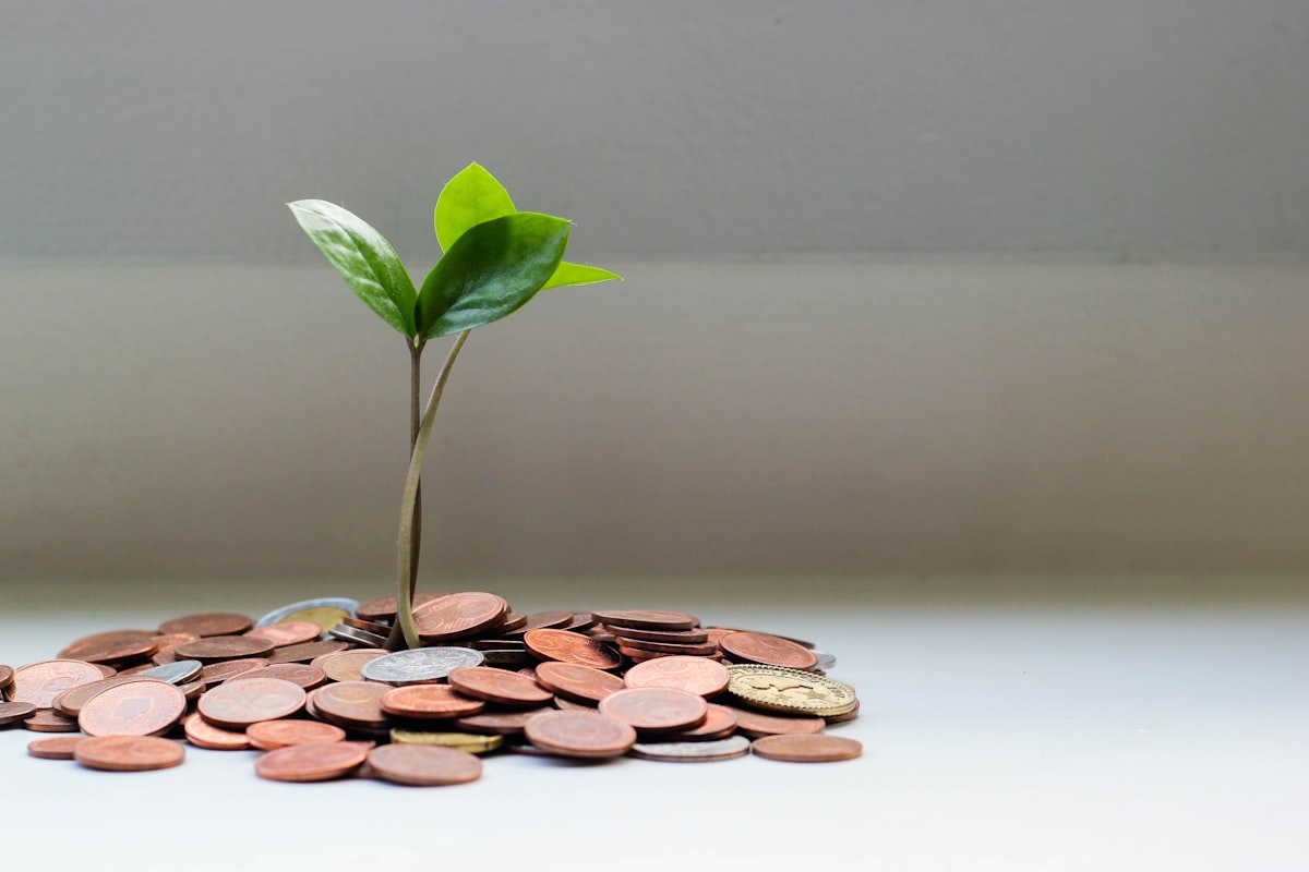 Trust Funds vs Savings Accounts: What Indian Parents Need to Know